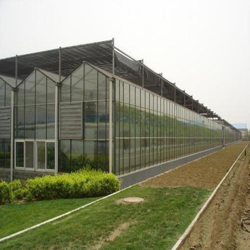 Greenhouse Construction/ Low Price Commercial/ Professional Glass Agricultural Greenhouse For Sale