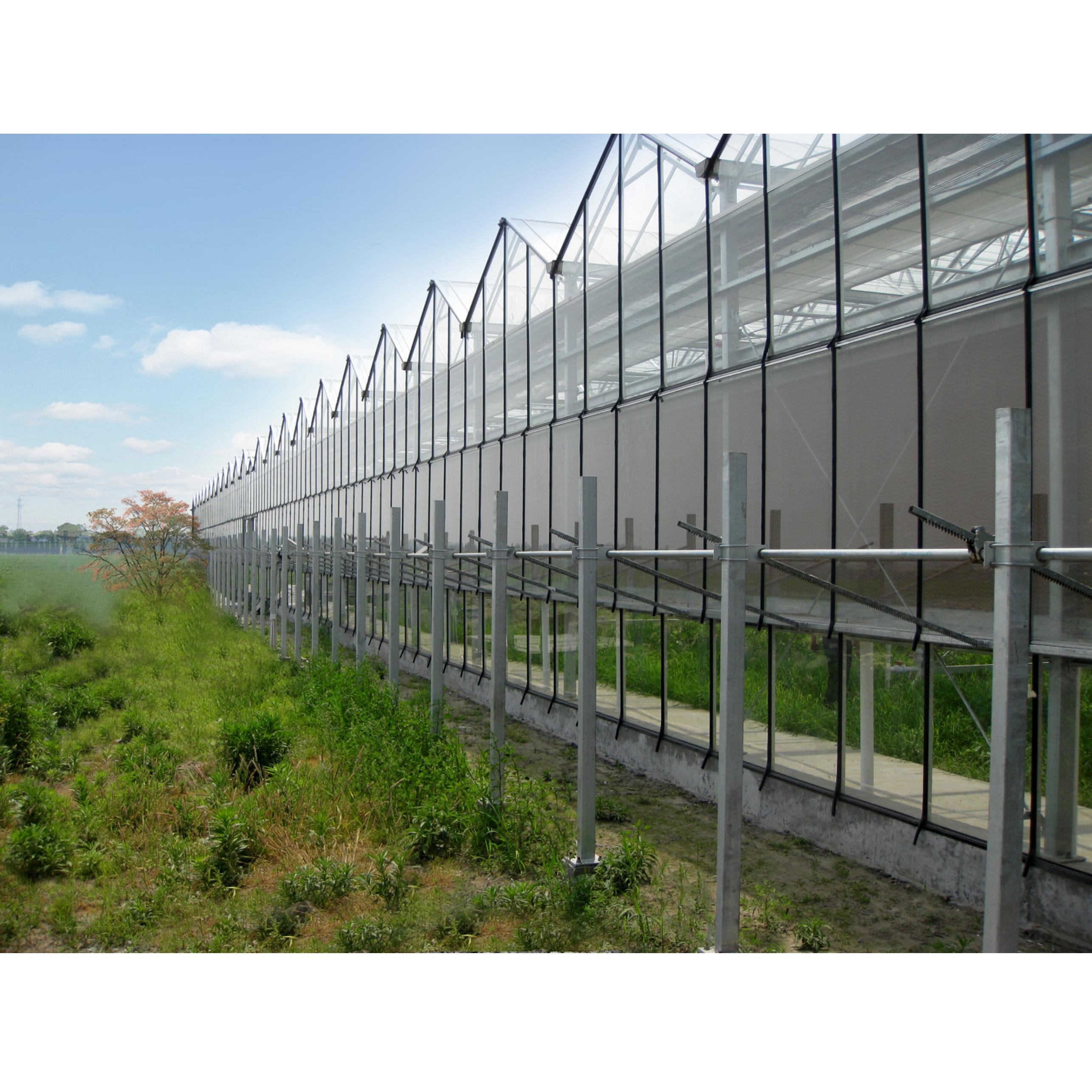 Greenhouse Construction/ Low Price Commercial/ Professional Glass Agricultural Greenhouse For Sale