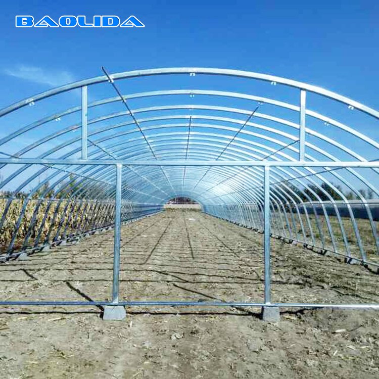 Single-span Agriculture Greenhouse Baolida Used Greenhouse