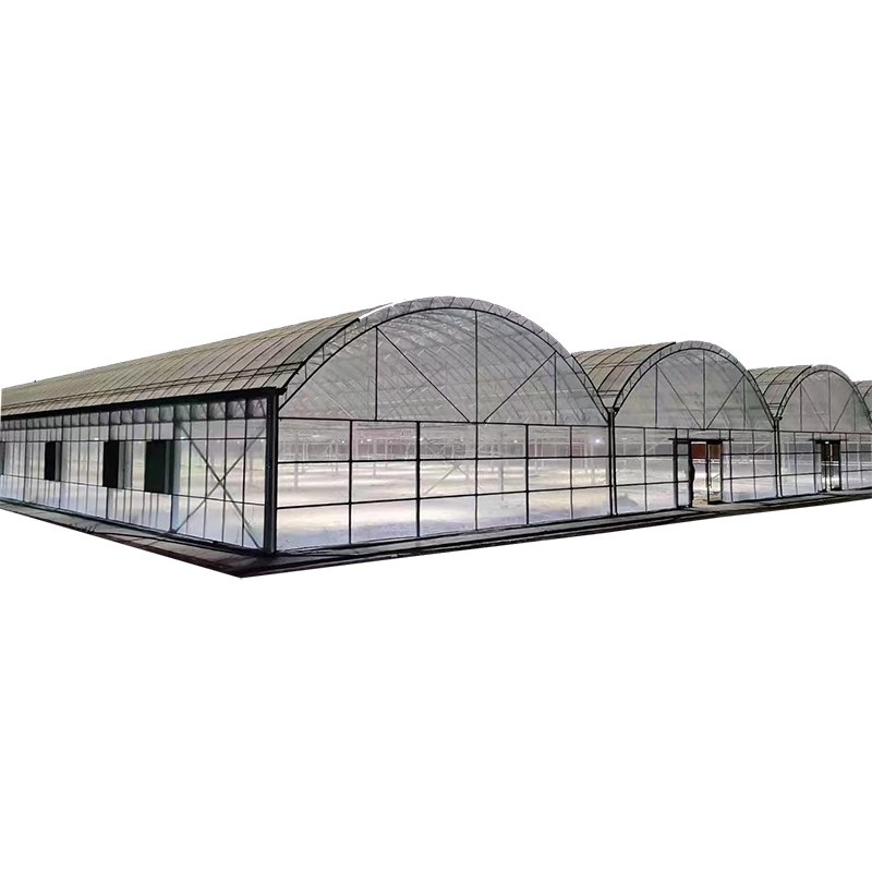 High Quality Agricultural Tunnel Arch Greenhouse Multi-Span Polycarbonate Greenhouse With Hydroponics System