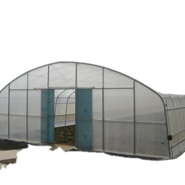 Commercial agriculture with hydroponic growing systems Vegetable Tomato farming Multi-Span Polycarbonate Greenhouses green house