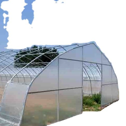 Commercial agriculture with hydroponic growing systems Vegetable Tomato farming Multi-Span Polycarbonate Greenhouses green house
