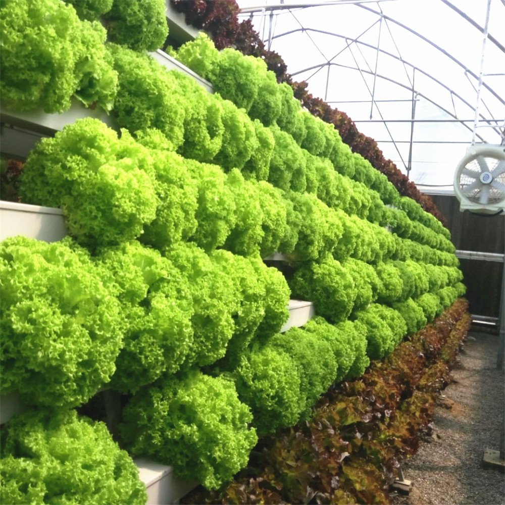 Polycarbonate Greenhouse For Sale