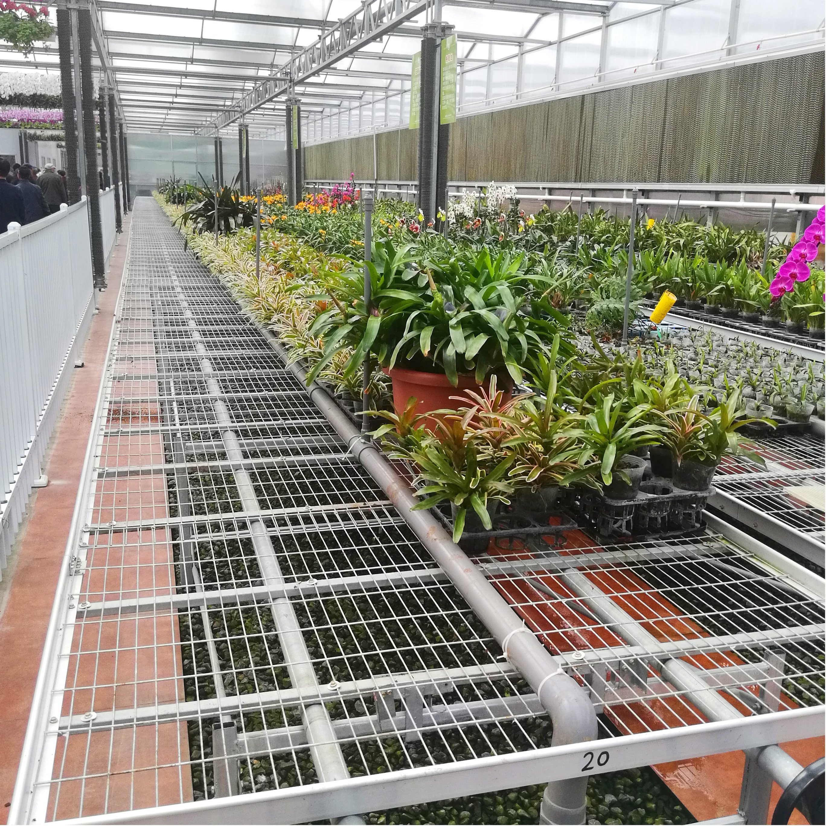Nursery Planting Equipment Rolling Grow Table For Agricultural Greenhouse