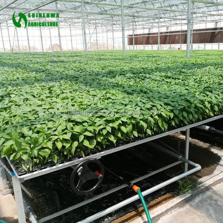 Nursery Planting Equipment Rolling Grow Table For Agricultural Greenhouse