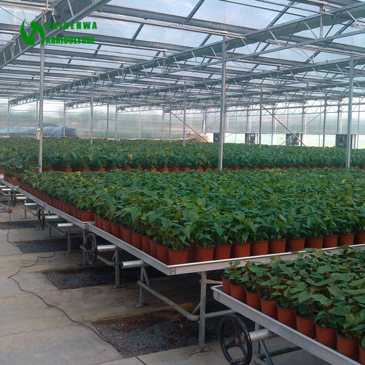 Nursery Planting Equipment Rolling Grow Table For Agricultural Greenhouse