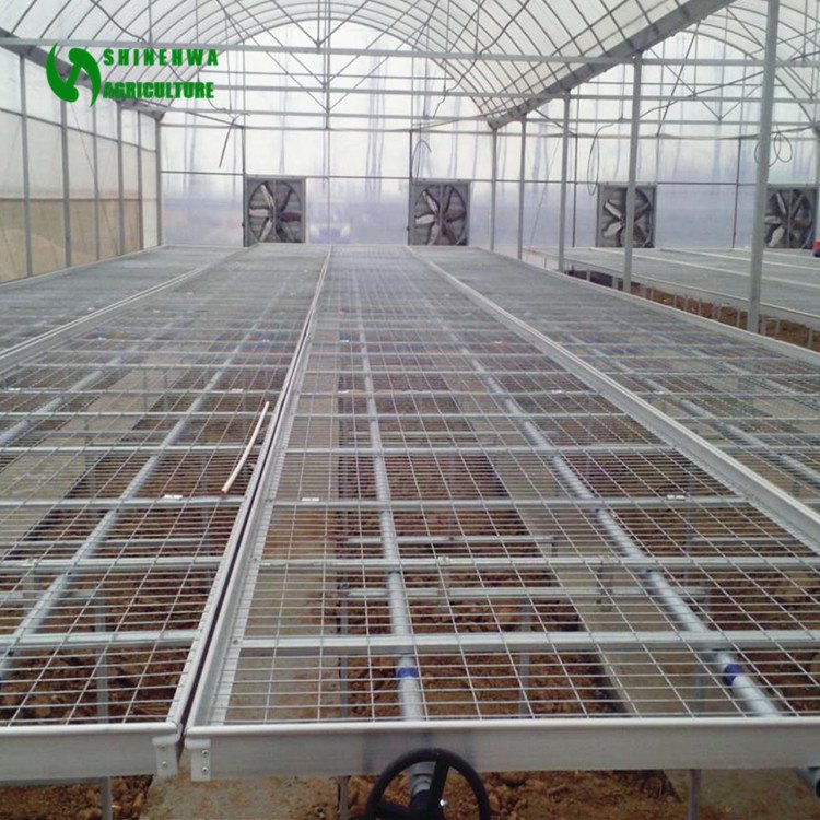 Nursery Planting Equipment Rolling Grow Table For Agricultural Greenhouse