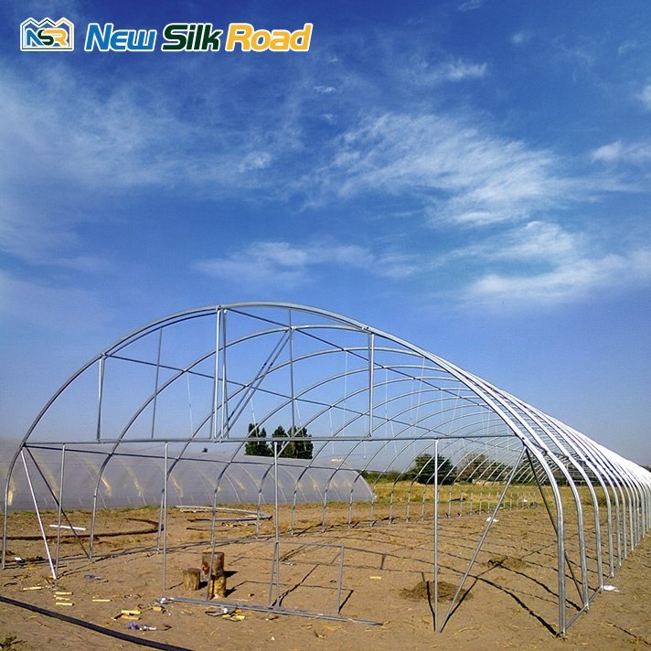 Low Cost Single Span Galvanized Steel Frame Greenhouse for Plants with PE Film and Plastic Cover Small Size