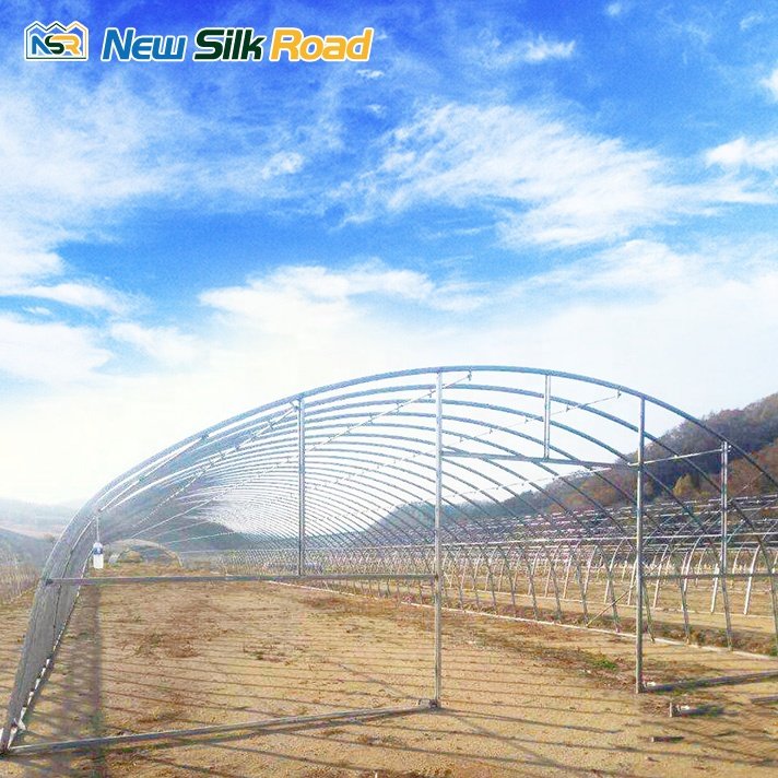Low Cost Single Span Galvanized Steel Frame Greenhouse for Plants with PE Film and Plastic Cover Small Size