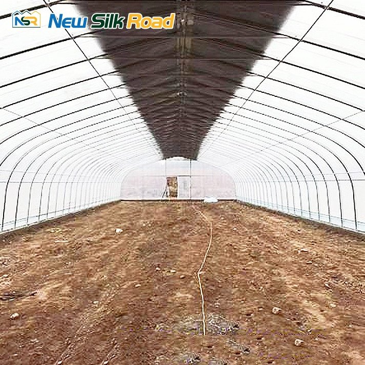 Low Cost Single Span Galvanized Steel Frame Greenhouse for Plants with PE Film and Plastic Cover Small Size