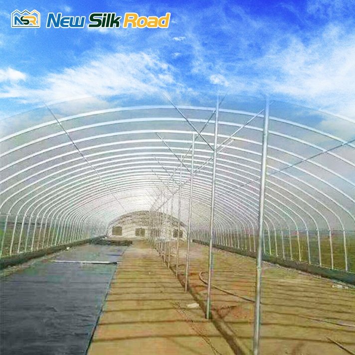 Low Cost Single Span Galvanized Steel Frame Greenhouse for Plants with PE Film and Plastic Cover Small Size