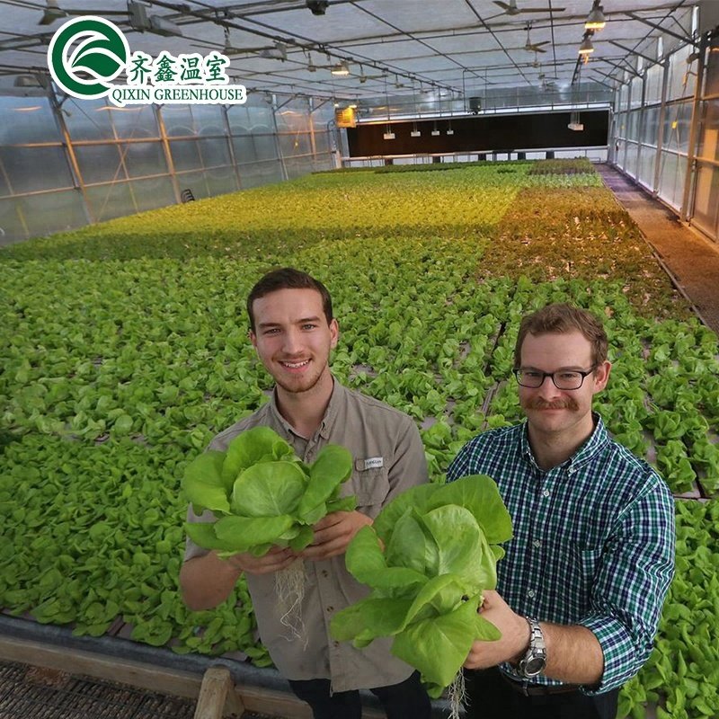 indoor hydroponic systems