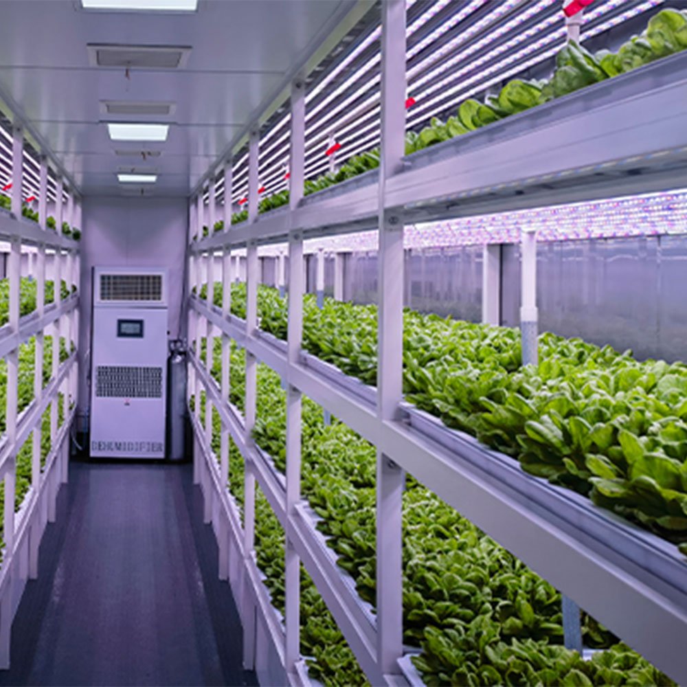 Commercial Low Cost Green House Smart Vertical Farming Agricultural Greenhouse For Vegetables