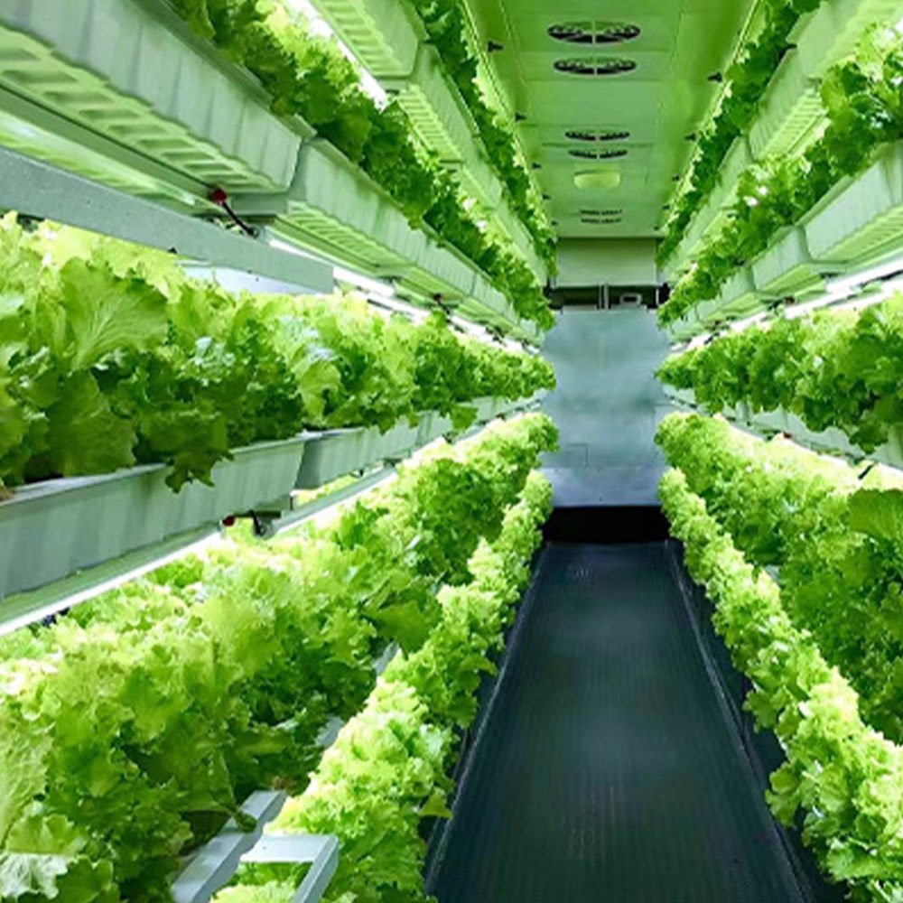 Commercial Low Cost Green House Smart Vertical Farming Agricultural Greenhouse For Vegetables