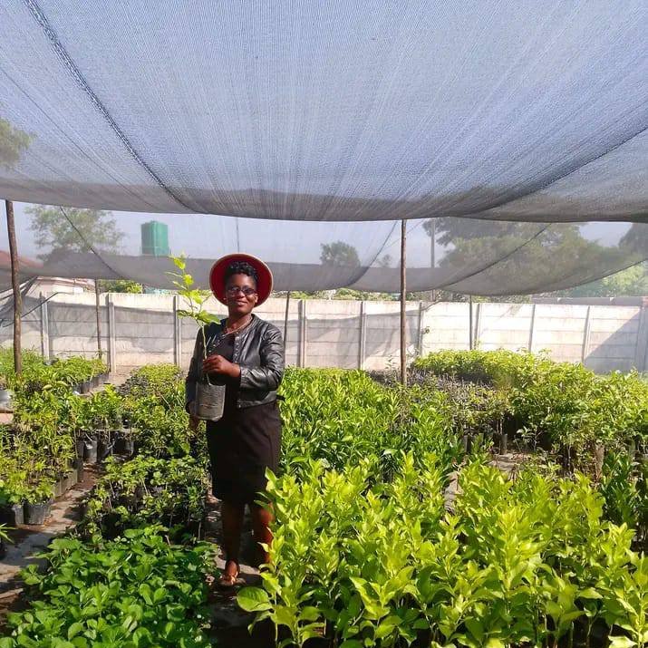 Agriculture shading cloth 30% 50% 60% 90% sun black pp anti-hail grape shade net