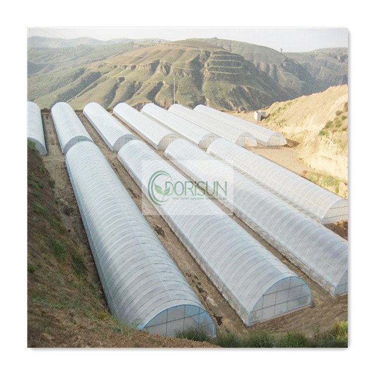Large Plastic Agricultural Greenhouse Tunnel vegetable greenhouses for sale
