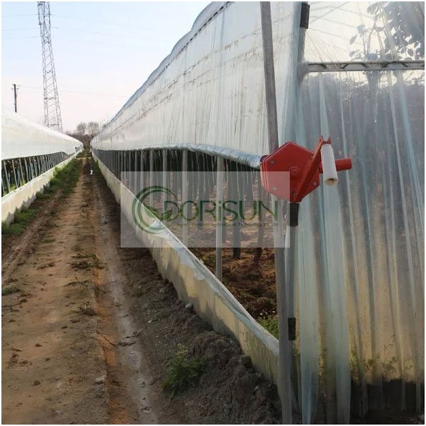 Commercial greenhouse kits Single-span vegetable seeding greenhouse frame PE plastic film Tunnel strawberry greenhouse for sale