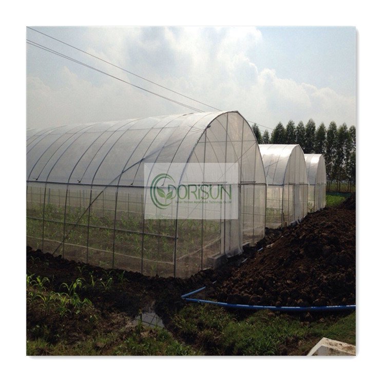 Commercial greenhouse kits Single-span vegetable seeding greenhouse frame PE plastic film Tunnel strawberry greenhouse for sale