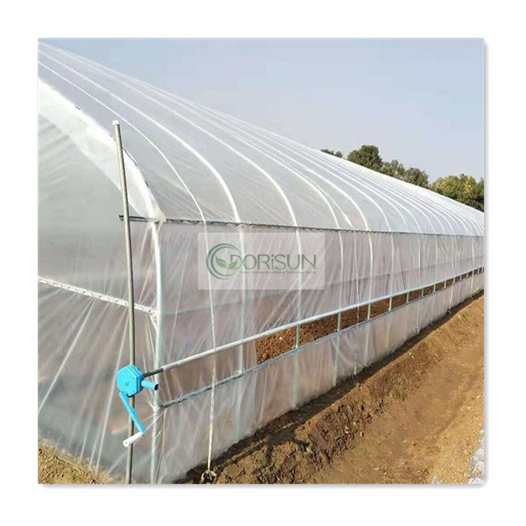 Commercial greenhouse kits Single-span vegetable seeding greenhouse frame PE plastic film Tunnel strawberry greenhouse for sale