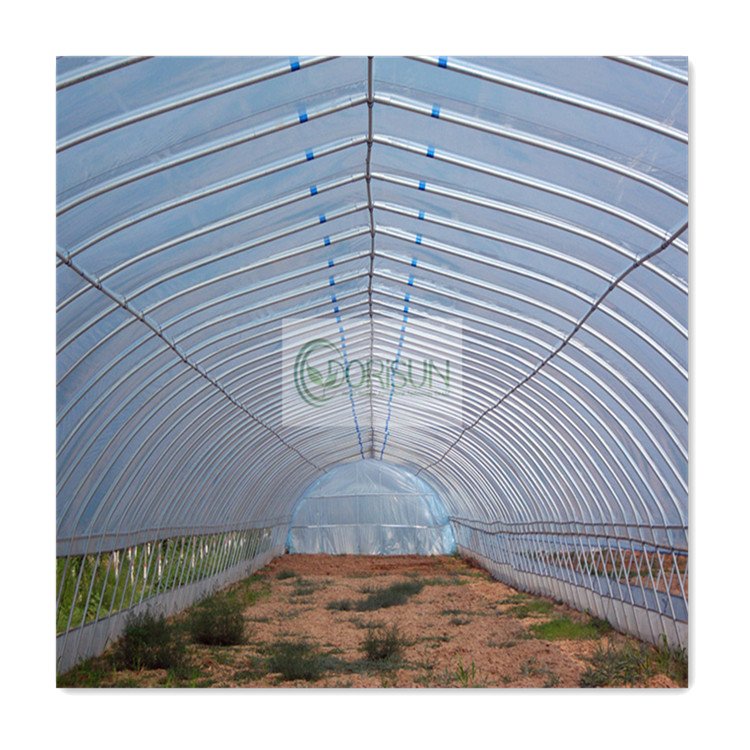 Commercial greenhouse kits Single-span vegetable seeding greenhouse frame PE plastic film Tunnel strawberry greenhouse for sale