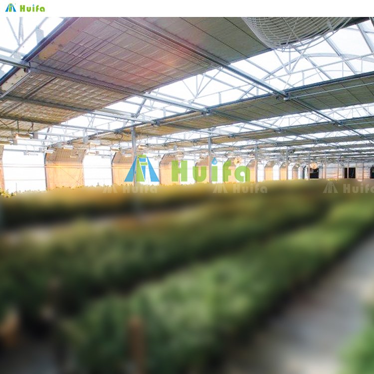 Commercial Plastic Film Tunnel Automated Light Deprivation Greenhouse Blackout Shading Irrigation Hydroponics System