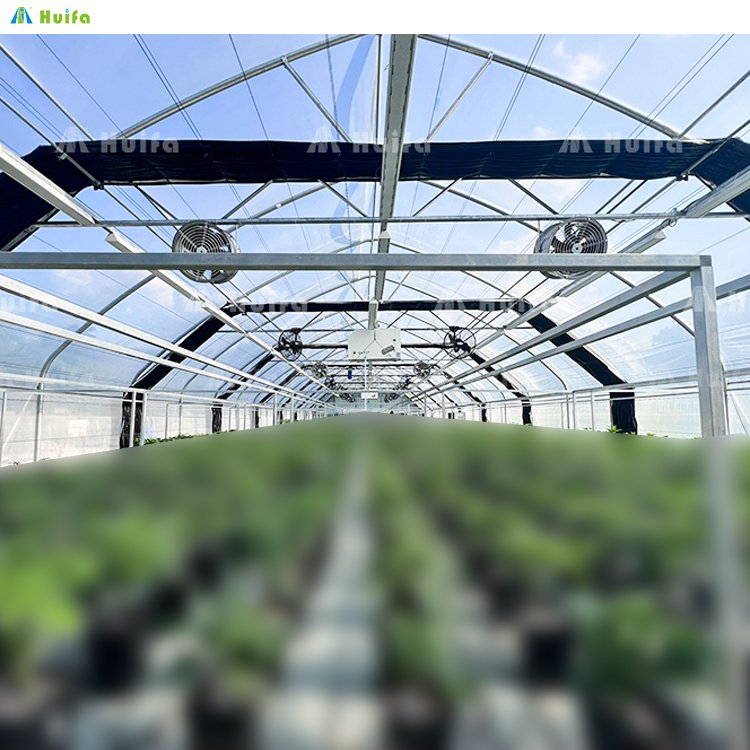 Commercial Plastic Film Tunnel Automated Light Deprivation Greenhouse Blackout Shading Irrigation Hydroponics System