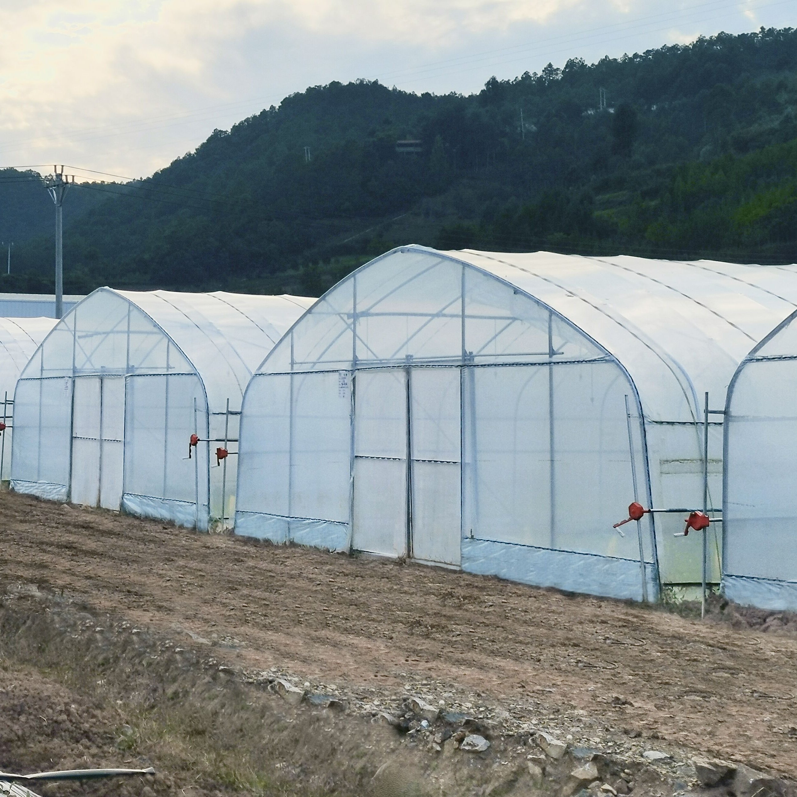 Agriculture Green House Gothic Arch Plant house Low Cost A Frame Greenhouse Serre Agricole for Pepper