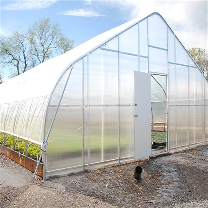 Agriculture Green House Gothic Arch Plant house Low Cost A Frame Greenhouse Serre Agricole for Pepper