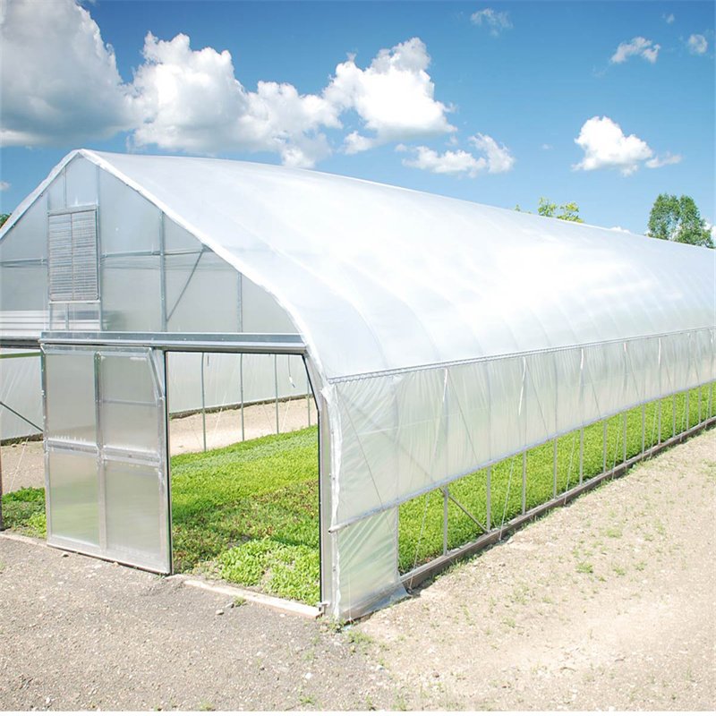 Agriculture Green House Gothic Arch Plant house Low Cost A Frame Greenhouse Serre Agricole for Pepper