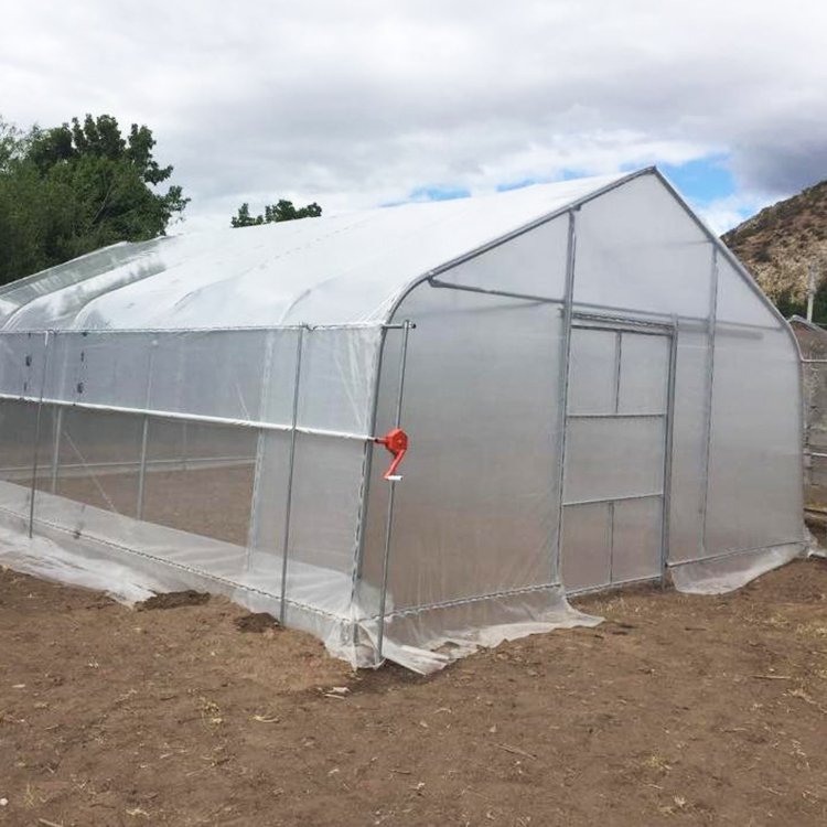 Agriculture Green House Gothic Arch Plant house Low Cost A Frame Greenhouse Serre Agricole for Pepper