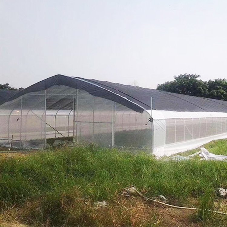 Agriculture Green House Gothic Arch Plant house Low Cost A Frame Greenhouse Serre Agricole for Pepper