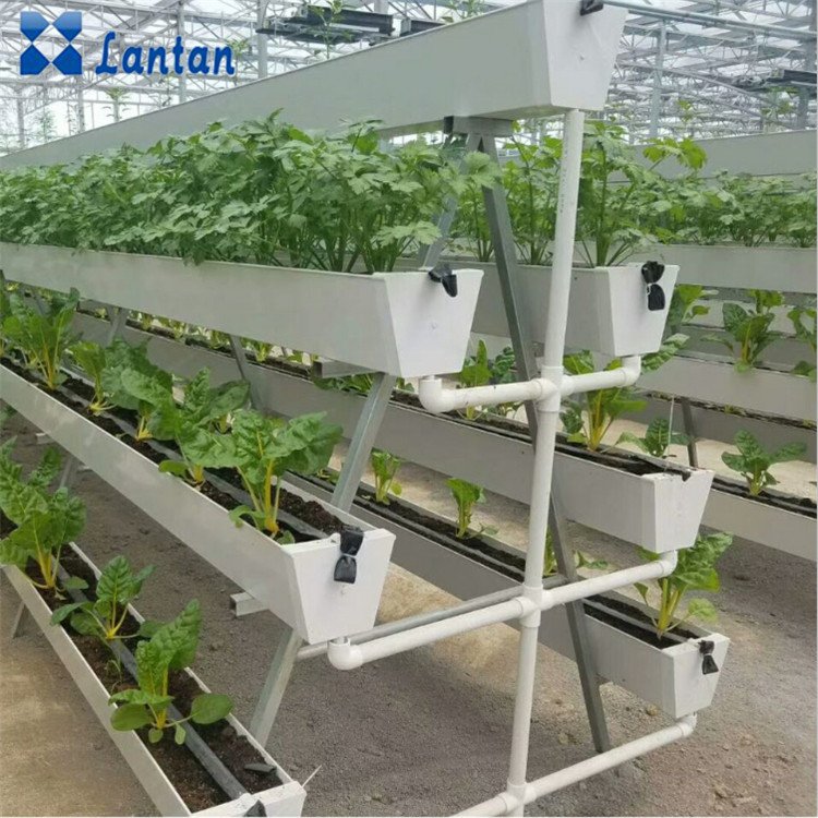 Greenhouse cultivation system PVC gutter for Strawberries and tomatoes