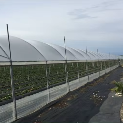 Factory wholesale plastic film three year anti-aging high light transmittance greenhouse film roll