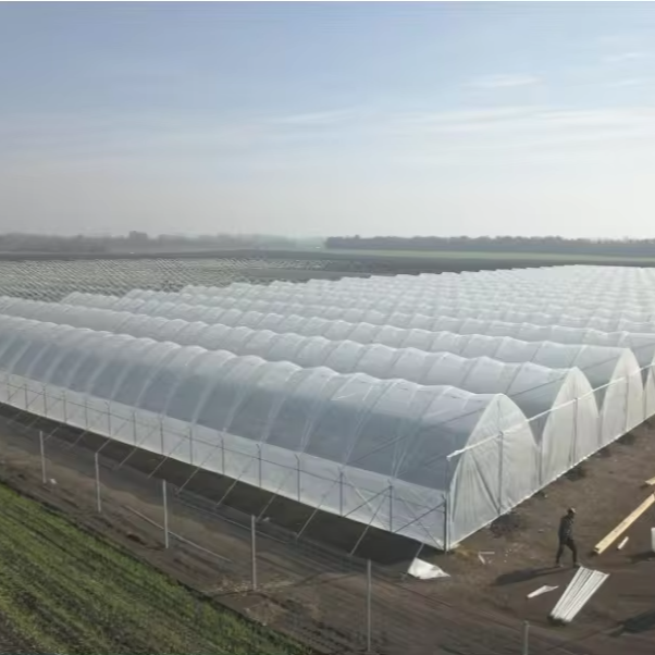 Factory wholesale plastic film three year anti-aging high light transmittance greenhouse film roll