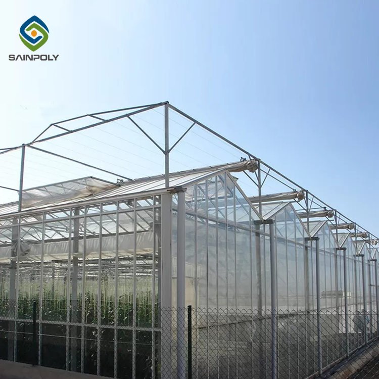 Sainpoly Stable Agricultural Greenhouse Low-Cost Polycarbonate & Galvanized Steel Frame with PC Sheet