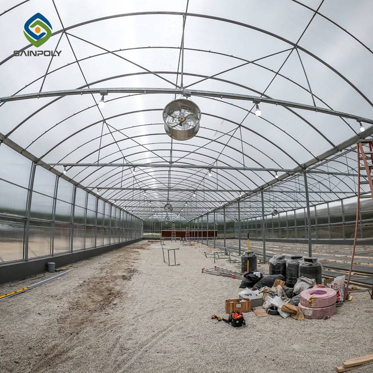 Sainpoly Stable Agricultural Greenhouse Low-Cost Polycarbonate & Galvanized Steel Frame with PC Sheet
