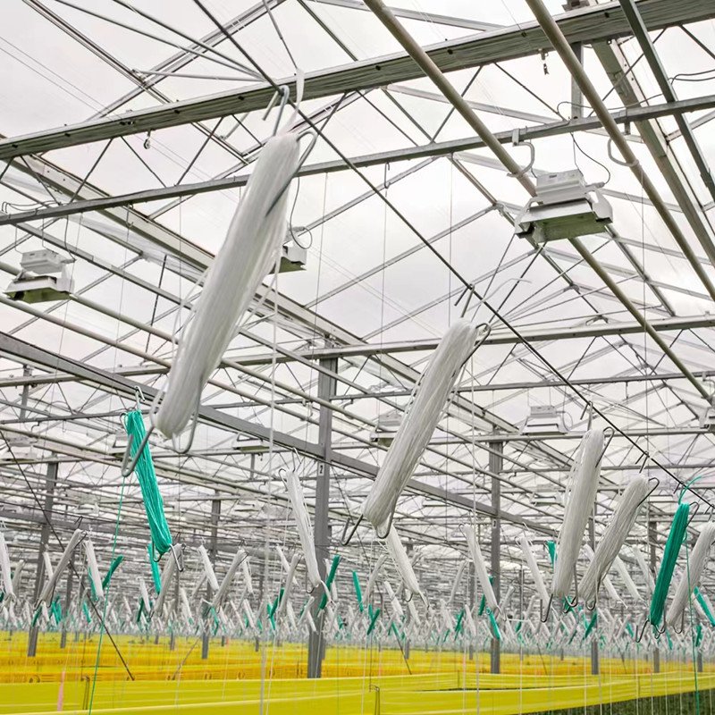 Factory direct hot dipped galvanized steel tomato hooks for grow support