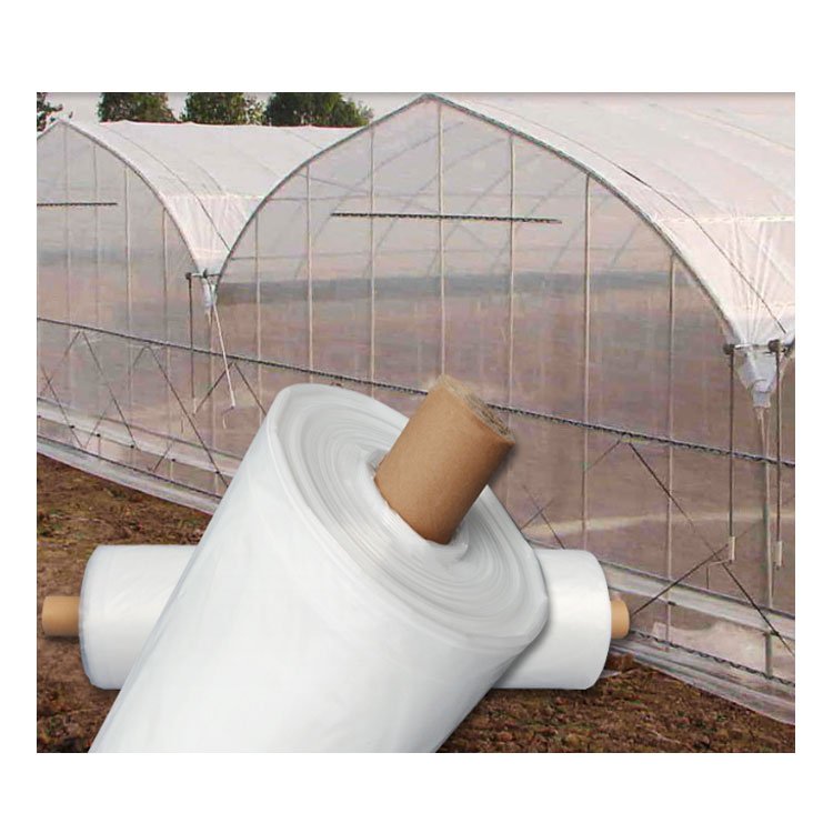 UV Protection Anti-Moss Greenhouse Plastic Film Po/PE Transparent White Film