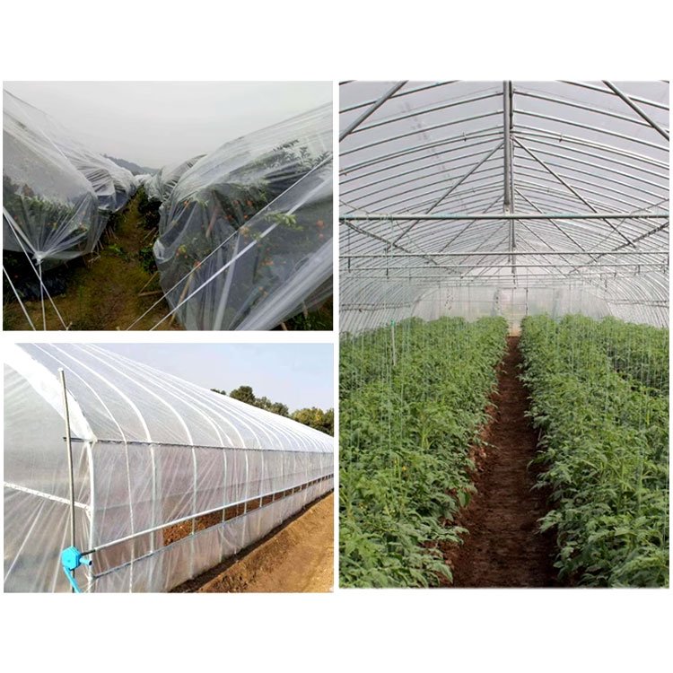 UV Protection Anti-Moss Greenhouse Plastic Film Po/PE Transparent White Film