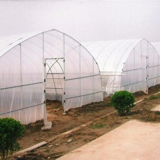 Agriculture greenhouse for vegetables farming tent and 200 micron greenhouse film materials