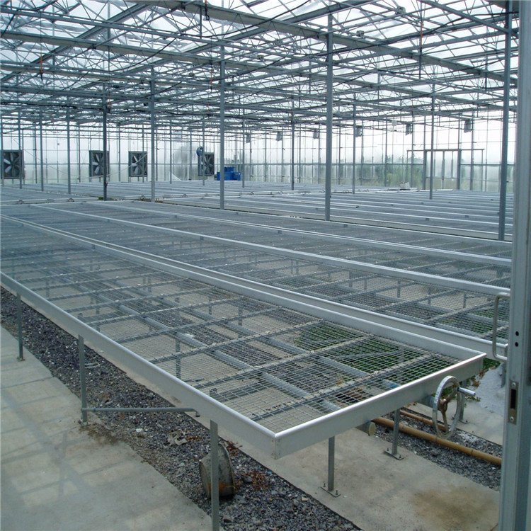 Agricultural greenhouse hydroponic system 4*8 Ebb and Flow Rolling Bench Flood and Multi-Layered Seedbed with ABS trays