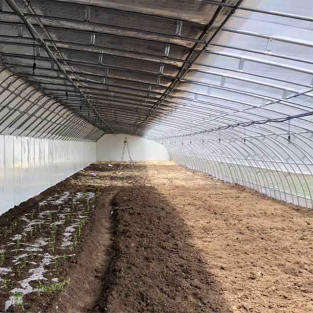 Industrial Customized Multi-span Venlo Polycarbonate Sheet Wind Resistant Tunnel Agricultural Greenhouse