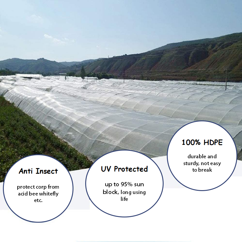 20 mesh 120gsm insect net for agriculture greenhouse horticulture