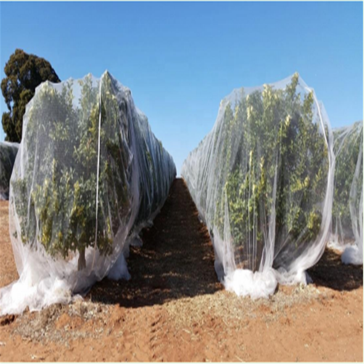 20 mesh 120gsm insect net for agriculture greenhouse horticulture
