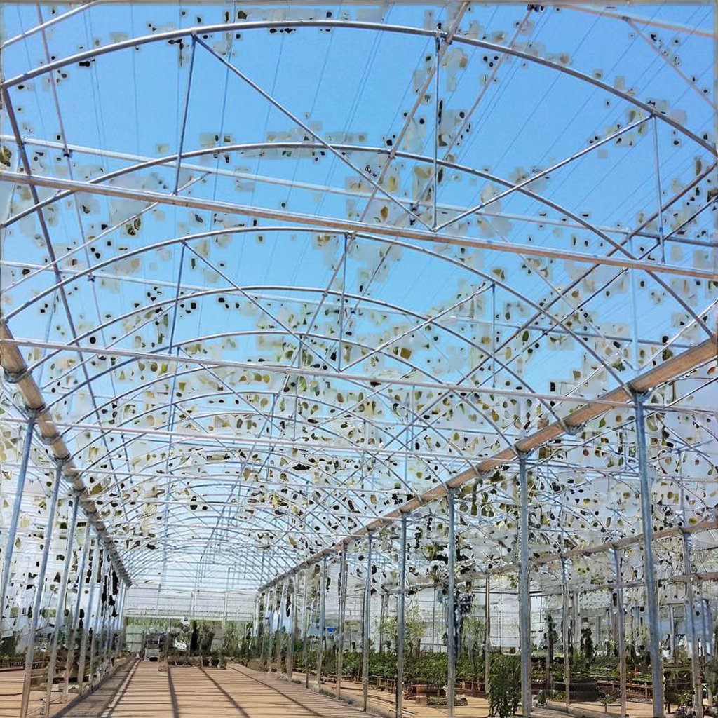 JP Low Cost Muti Span Plastic Film Tunnel Strawberry Greenhouse Tomato Agricultural Greenhouses Agricultural Protective