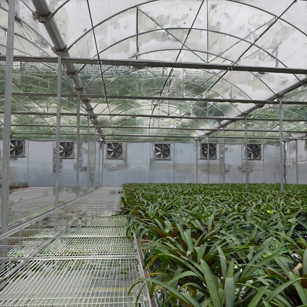 JP Low Cost Muti Span Plastic Film Tunnel Strawberry Greenhouse Tomato Agricultural Greenhouses Agricultural Protective