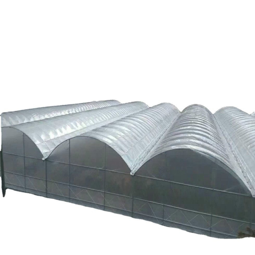 JP Low Cost Muti Span Plastic Film Tunnel Strawberry Greenhouse Tomato Agricultural Greenhouses Agricultural Protective