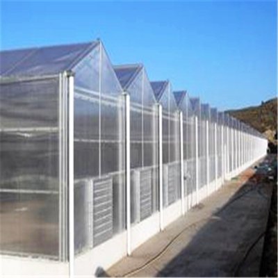 commercial agricultural greenhouses for tomato / vegetable/fruit/flower with hydroponics for turnkey project green house