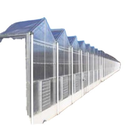 commercial agricultural greenhouses for tomato / vegetable/fruit/flower with hydroponics for turnkey project green house