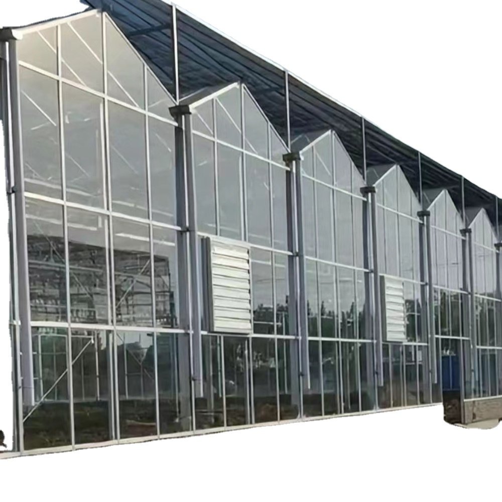 commercial agricultural greenhouses for tomato / vegetable/fruit/flower with hydroponics for turnkey project green house